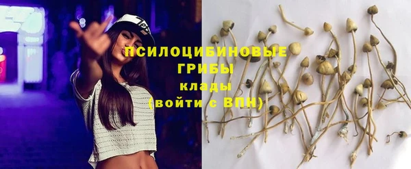 МДПВ Армянск