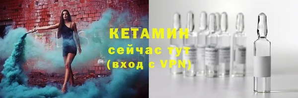 трава Арсеньев