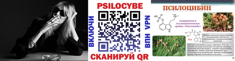 Псилоцибиновые грибы мицелий  Омутнинск 